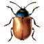 ant, bee, 5 beetles, 5 butterflies, 2 caterpillars, dragonfly,2 fleas, fly,2 ladybirds, mosquito, 2 moths,2 spiders, 3 wasps